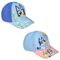 Bluey assorted cap |  Techbox