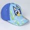 Bluey assorted cap |  Techbox
