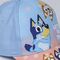 Bluey assorted cap |  Techbox
