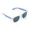 Bluey Set sunglasses + wallet |  Techbox