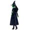Wicked Elphaba Thropp doll |  Techbox