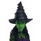Wicked Elphaba Thropp doll |  Techbox