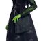 Wicked Elphaba Thropp doll |  Techbox