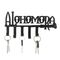 Harry Potter Alohamora Key Hangers