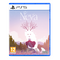 Neva / PlayStation 5 | Techbox
