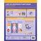 mierEdu - Magnetic Learning Box - All About Body and Emotion (Danish) - (ME097D) / Toys - Αταξινόμητα -  - Techbox