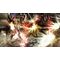Dynasty Warriors 9: Empires (Import) / Nintendo Switch | Techbox