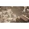 The  Forgotten City (Import) / PlayStation 5 - PS5 Games - Games - Techbox