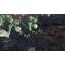 Xenoblade Chronicles 3 / Nintendo Switch - Nintendo Switch Games - Games - Techbox