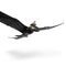 Dragons - Movie RC Real Flying Toothless (6072292) / Toys