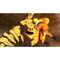 Naruto x Boruto: Ultimate Ninja Storm Connections / PlayStation 4 | Techbox