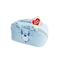 Care Bears assorted vanity case |  Techbox