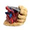 Marvel Spiderman Pencil holders + pencils |  Techbox