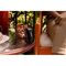 Motorola - Baby Monitor PIP12 Audio - Mulberry / Baby and Children