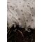 Vanilla Copenhagen - Bedding Baby - Honeybee Happy - Milk - 70 x 100 cm, 40 x 45 cm (BEDB3724) / Baby and Children