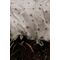 Vanilla Copenhagen - Bedding Baby - Honeybee Happy - Milk - 70 x 100 cm, 40 x 45 cm (BEDB3724) / Baby and Children
