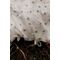 Vanilla Copenhagen - Bedding Junior - Honeybee Happy - Milk - 100 x 140 cm, 40 x 45 cm (BEDJ3824) / Baby and Children