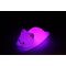 Winkee - Sleepy Cat Night Light - Compact / Gadgets