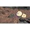 Terminal Velocity: Boosted Edition (Limited Run) (import) / PlayStation 4 | Techbox