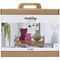 Maxi Craft Kit Modelling - Papier-mâché pulp vases - assorted colours (977837) / Toys