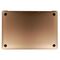 For iPhone/iPad (MACA13202002GO) Rear Cover - Gold, For MacBook Air 13 (2020); A2337 | Techbox