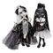 Shadow High Collector Doll Heather Greyson doll