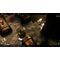 Warhammer 40.000: Deathwatch / PlayStation 4 | Techbox