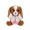 Baby Paws Interactive Puppy - Vet Check Up (264-927681) / Toys