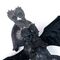 Dragons Movie Gliding Hug Toothless Plush 30 cm (6072913) / Toys