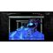 La-Mulana 1 & 2 / Nintendo Switch - Nintendo Switch Games - Games - Techbox