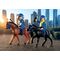 Playmobil - Police Squadron (71877) / Toys - Playmobil - Collectibles - Techbox