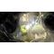 Teslagrad Power Pack Collector's Edition / PlayStation 5 - PS5 Games - Games - Techbox