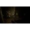 Tormented Souls / Nintendo Switch - Nintendo Switch Games - Games - Techbox