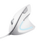 TRUST VERTO ERGO MOUSE - WHITE / Computers