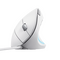 TRUST VERTO ERGO MOUSE - WHITE / Computers