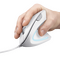 TRUST VERTO ERGO MOUSE - WHITE / Computers