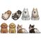 Mocchiri Kororin Dogs assorted figure