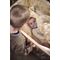 Filibabba - Baby bed linen - Dreamy Adventurers - Hvid - 70x100 cm (FI-03808) / Baby and Children - Merchandise Linens - Various - Techbox