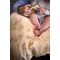 Filibabba - Baby bed linen - Dreamy Adventurers - Hvid - 70x100 cm (FI-03808) / Baby and Children - Merchandise Linens - Various - Techbox