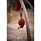 Filibabba - Sensory toys 3-pack - Dreamy Adventurers (FI-03813) / Toys