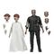 Universal Monsters Action Figures 2-Pack Bride of Frankenstein 90th Anniversary The Monster & His Mate 18 cm |  Techbox