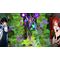 Caladrius Blaze (Multi-Language) (Import) / Nintendo Switch - Nintendo Switch Games - Games - Techbox