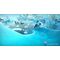 Ice Age: Scrat's Nutty Adventure / PlayStation 5 | Techbox