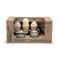 Dantoy - BIO ice cream set (5603) / Toys