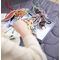 Filibabba - Learn to stitch set - Forest friends - (FI-03327) / Toys