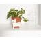 Winkee - Flower pot bowl - Flower pot cat - 13 cm / Gadgets