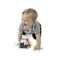 Baby Einstein - Zen Oball Vehicle - (BE-16772) / Toys