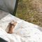 That's Mine - Levi bedding - Dreamily (Junior) (00021331682) / Baby and Children