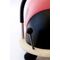 Wheely Bug - Ladybug - Large (8-210) / Toys