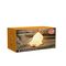 Winkee - Clumsy Duck Night Light - Compact / Gadgets